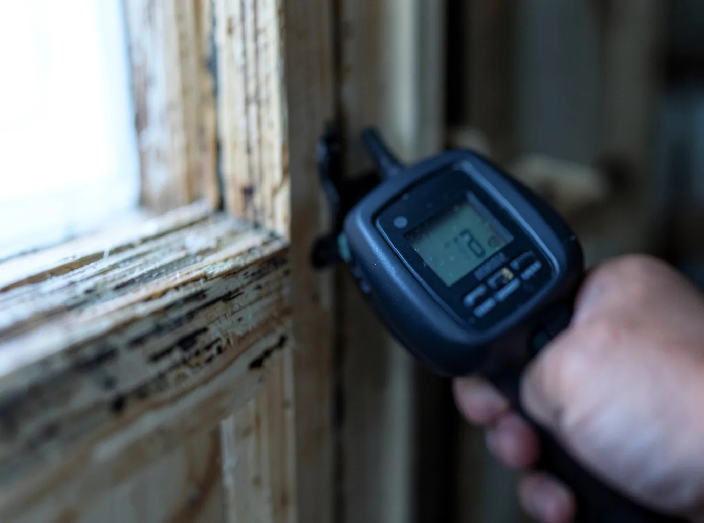 Moisture Inspection And Documentation in Amma, WV